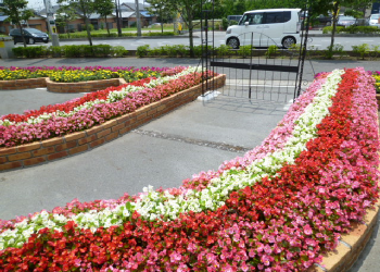 photo_area