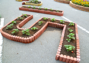 photo_area
